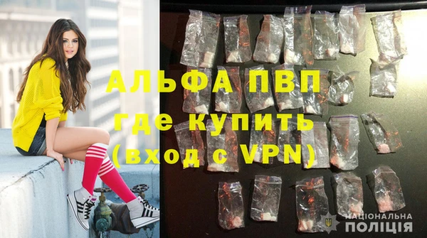 амф Бронницы