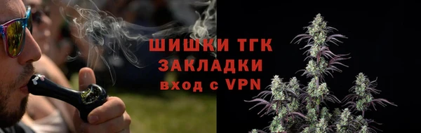 ГАЛЛЮЦИНОГЕННЫЕ ГРИБЫ Бугульма