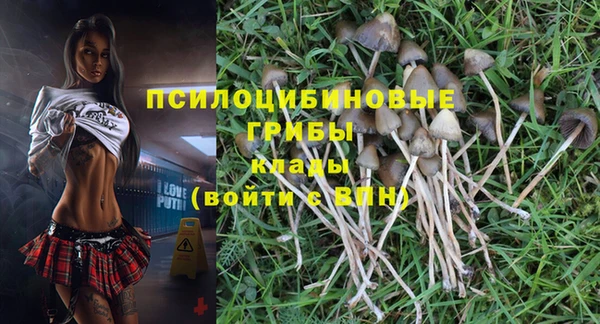 амф Бронницы