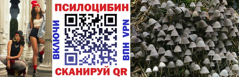 Галлюциногенные грибы ЛСД  Череповец 